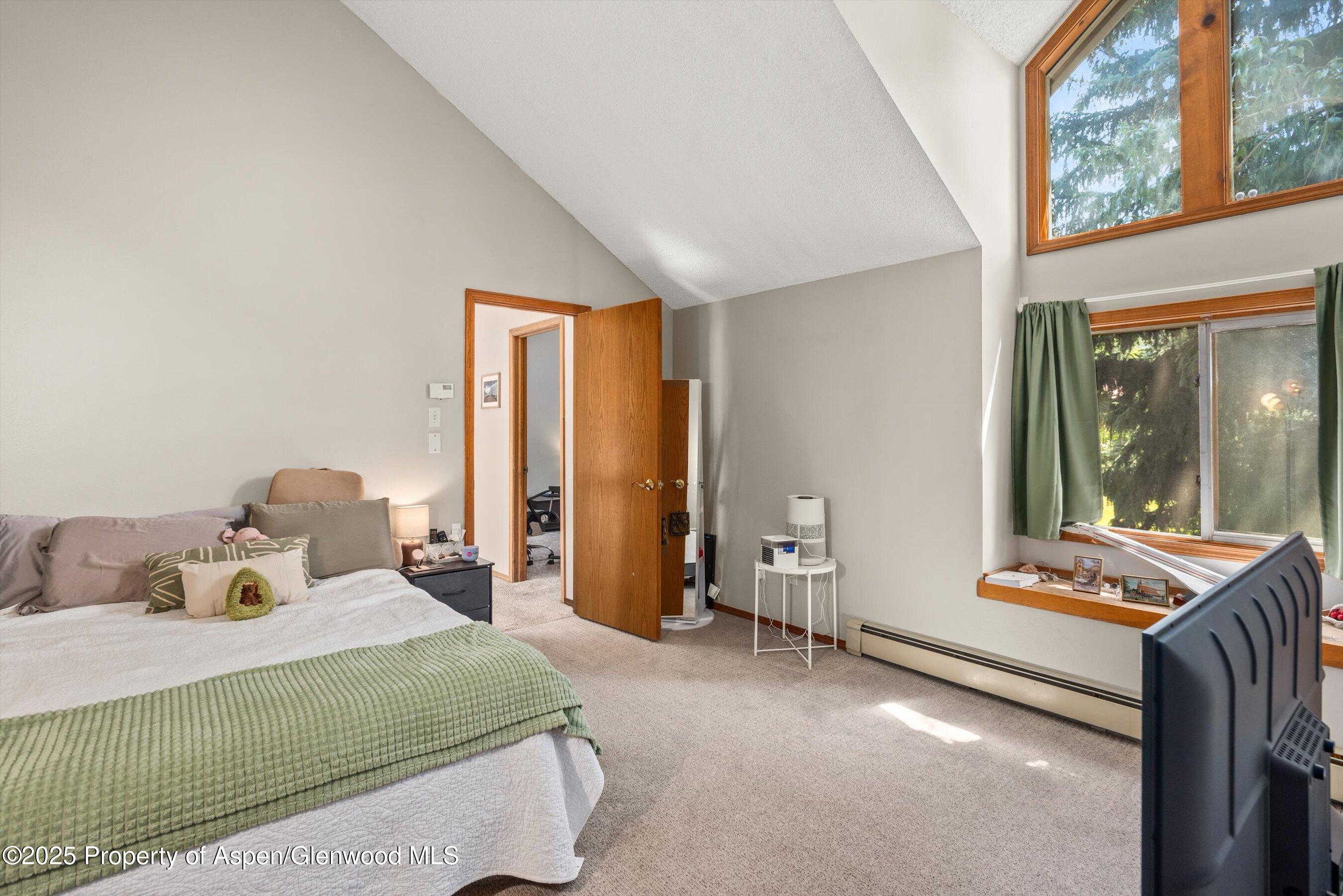 152 Wren Court Basalt, CO 81621 - Photo 9 of 11 Primary Suite