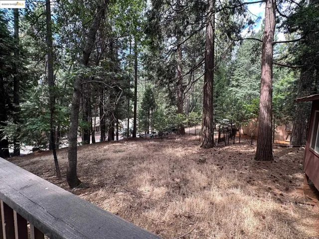 a view of a forest with trees