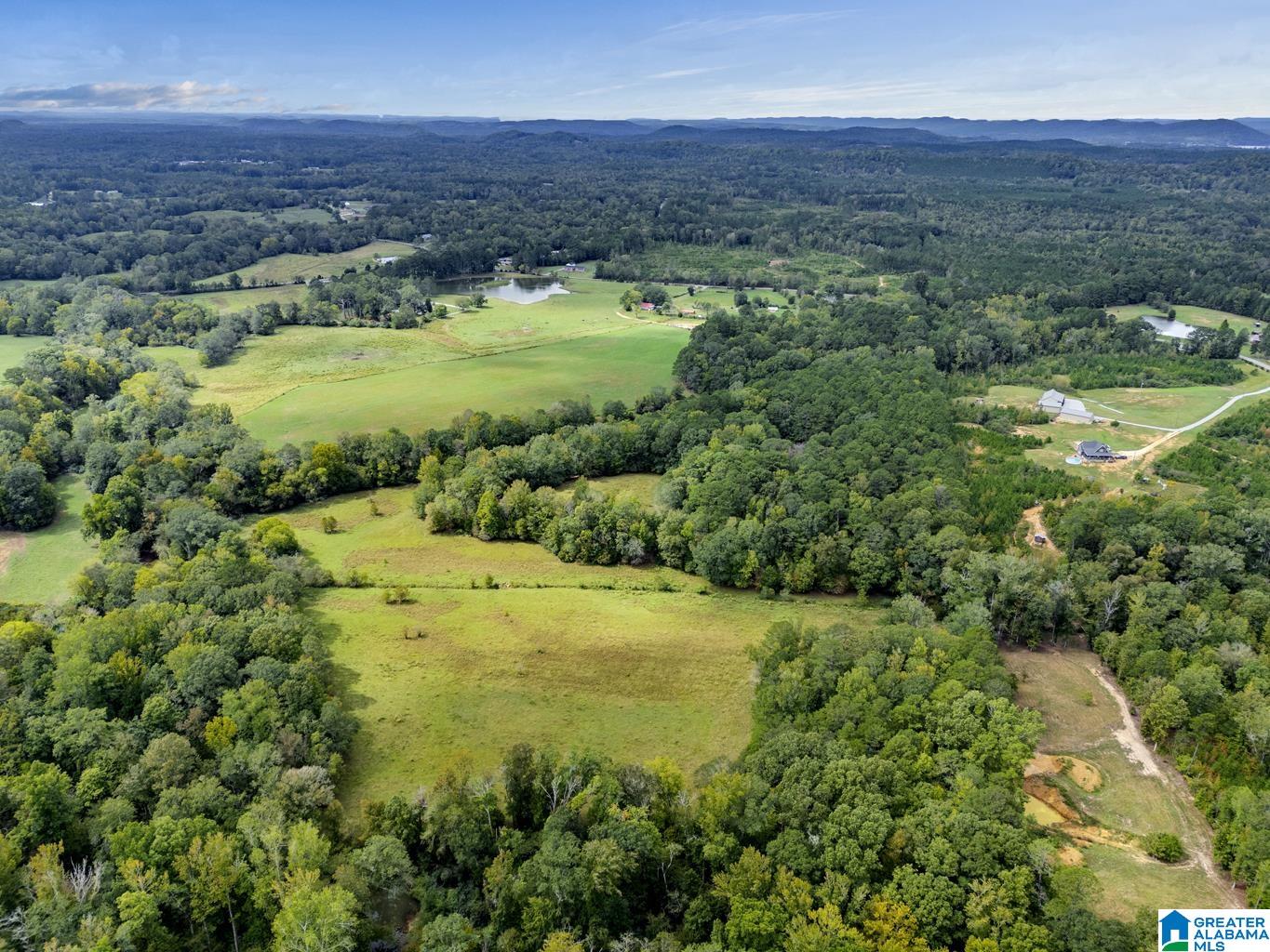 44 Nunnally Lake Road Ohatchee, AL 36271 - Photo 32 of 90