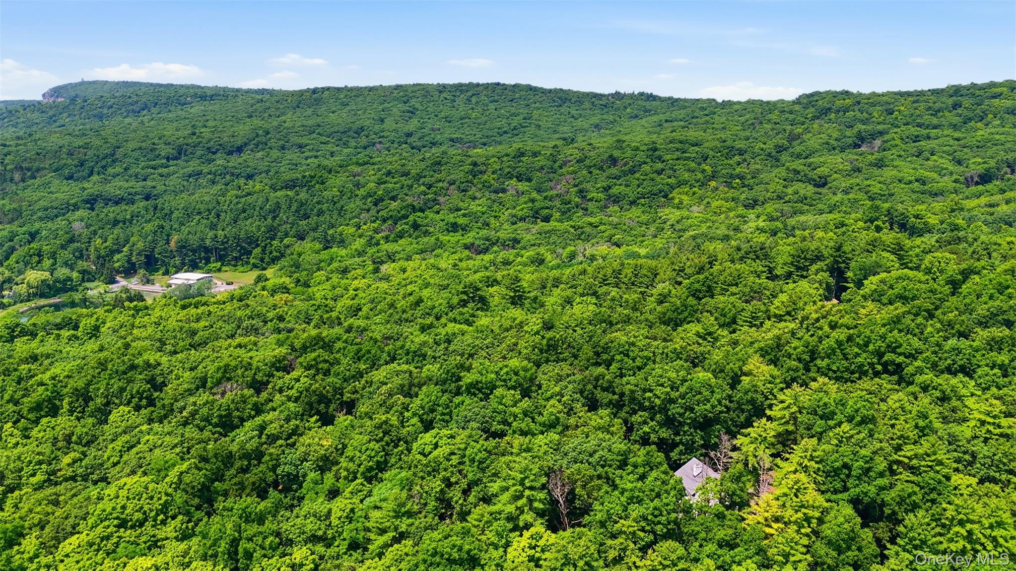 11 Spies Road New Paltz, NY 12561 - Photo 3 of 29