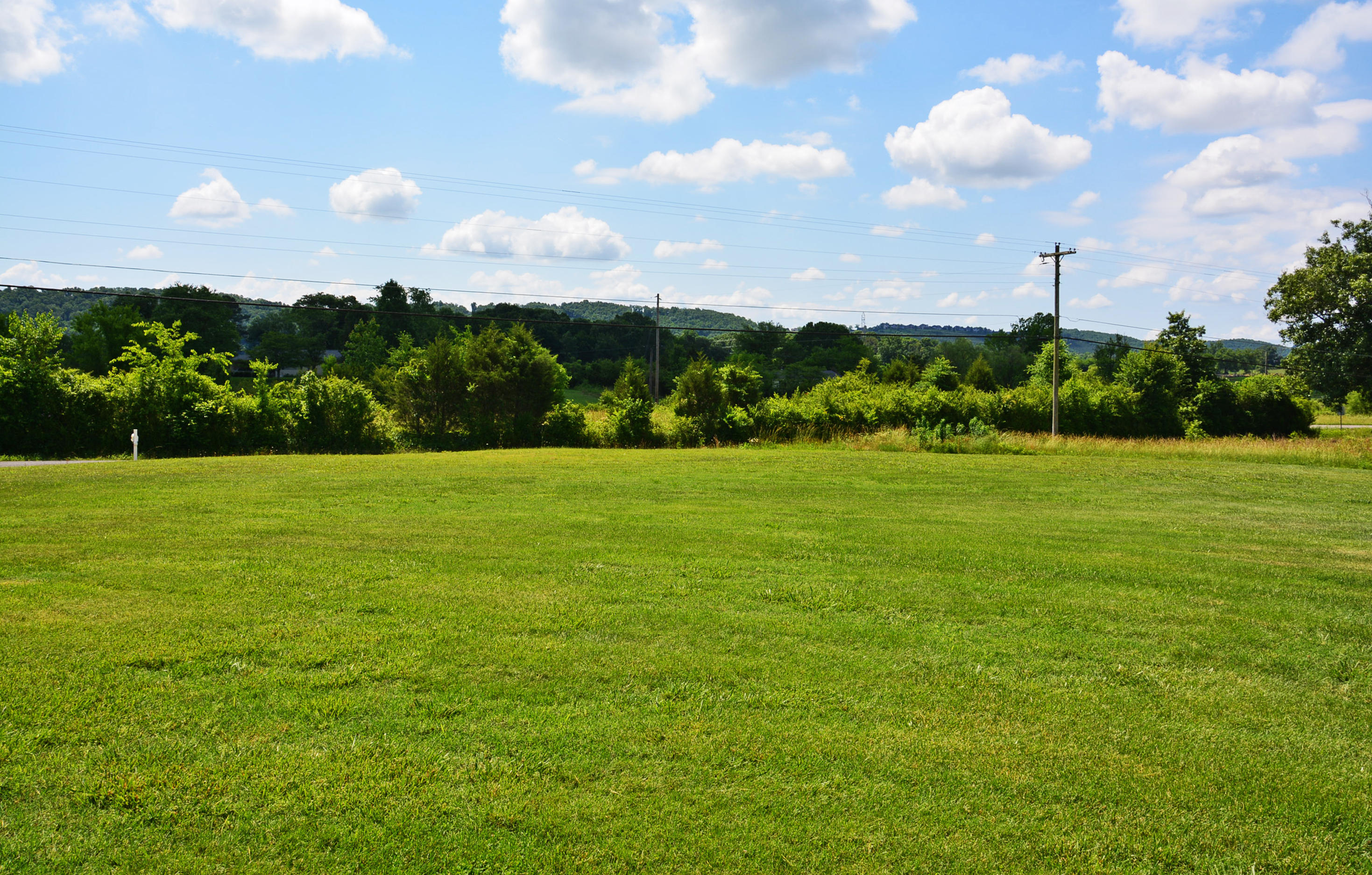 141 Old Eureka Road Northwest Charleston, TN 37310 - Photo 2 of 33 Front Yard