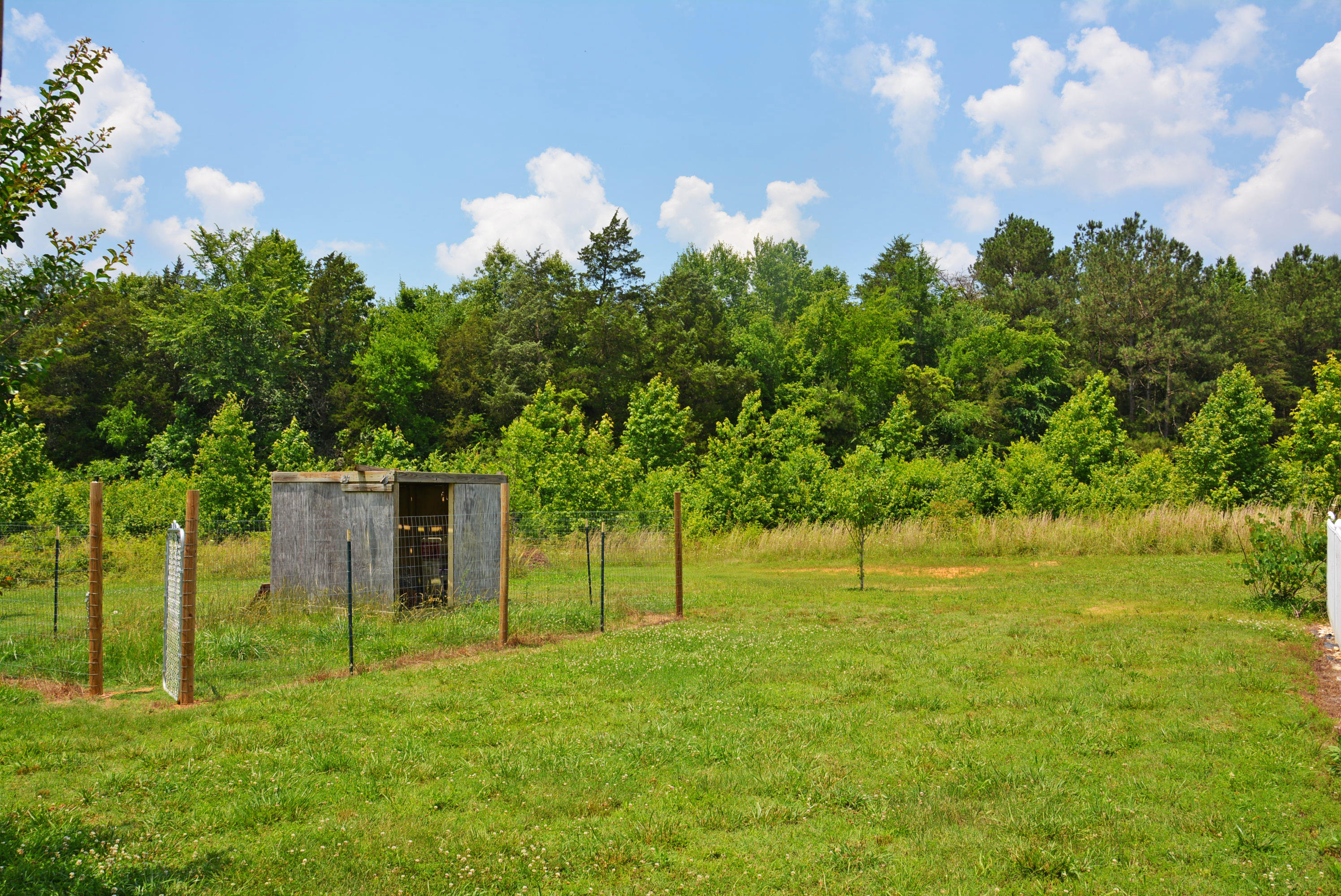 141 Old Eureka Road Northwest Charleston, TN 37310 - Photo 31 of 33 Backyard
