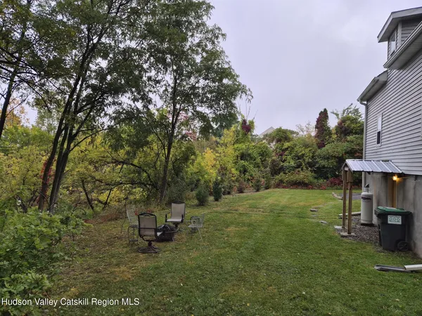 a view of a park with a tree