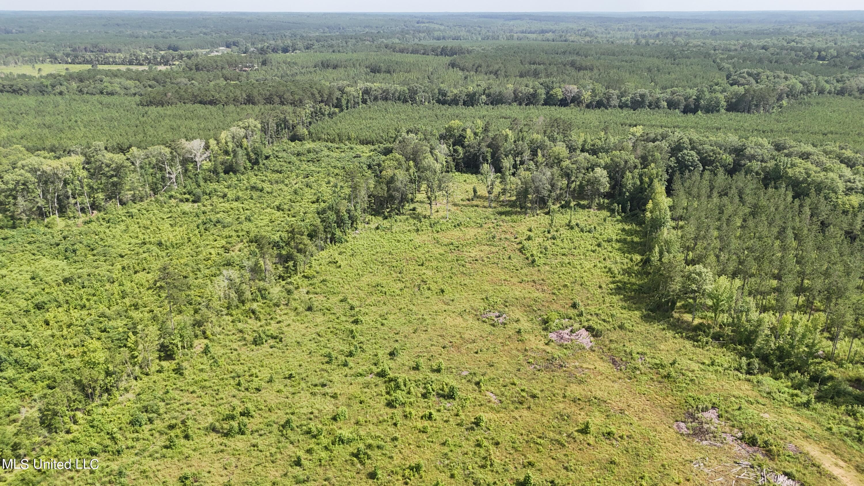 DJI_20240708154755_0252_D