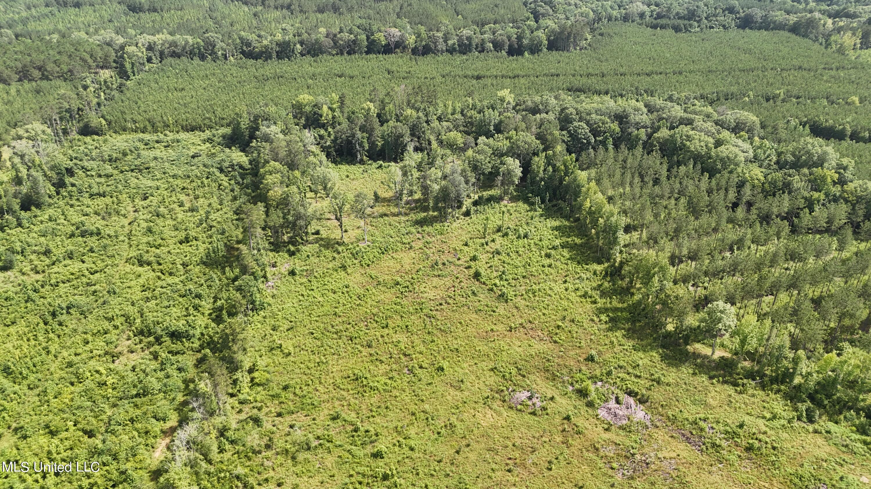 DJI_20240708154809_0253_D