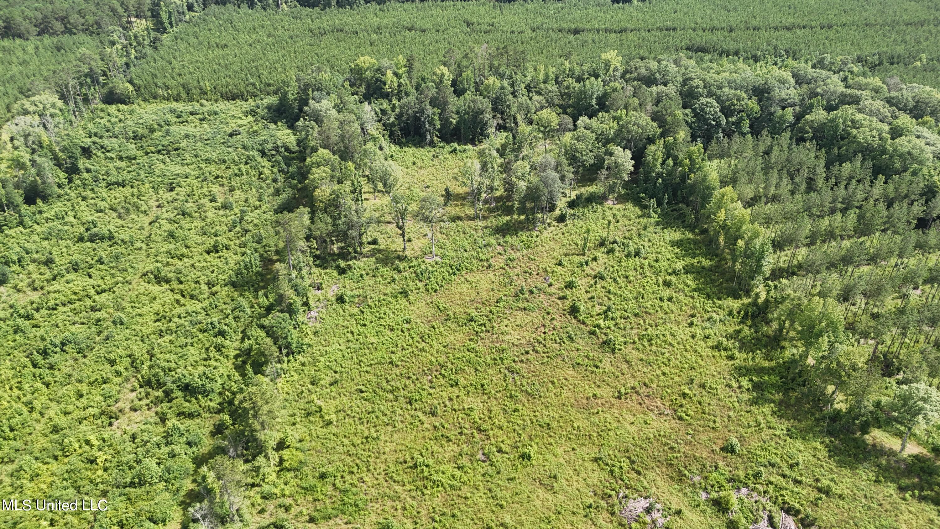 DJI_20240708154838_0255_D