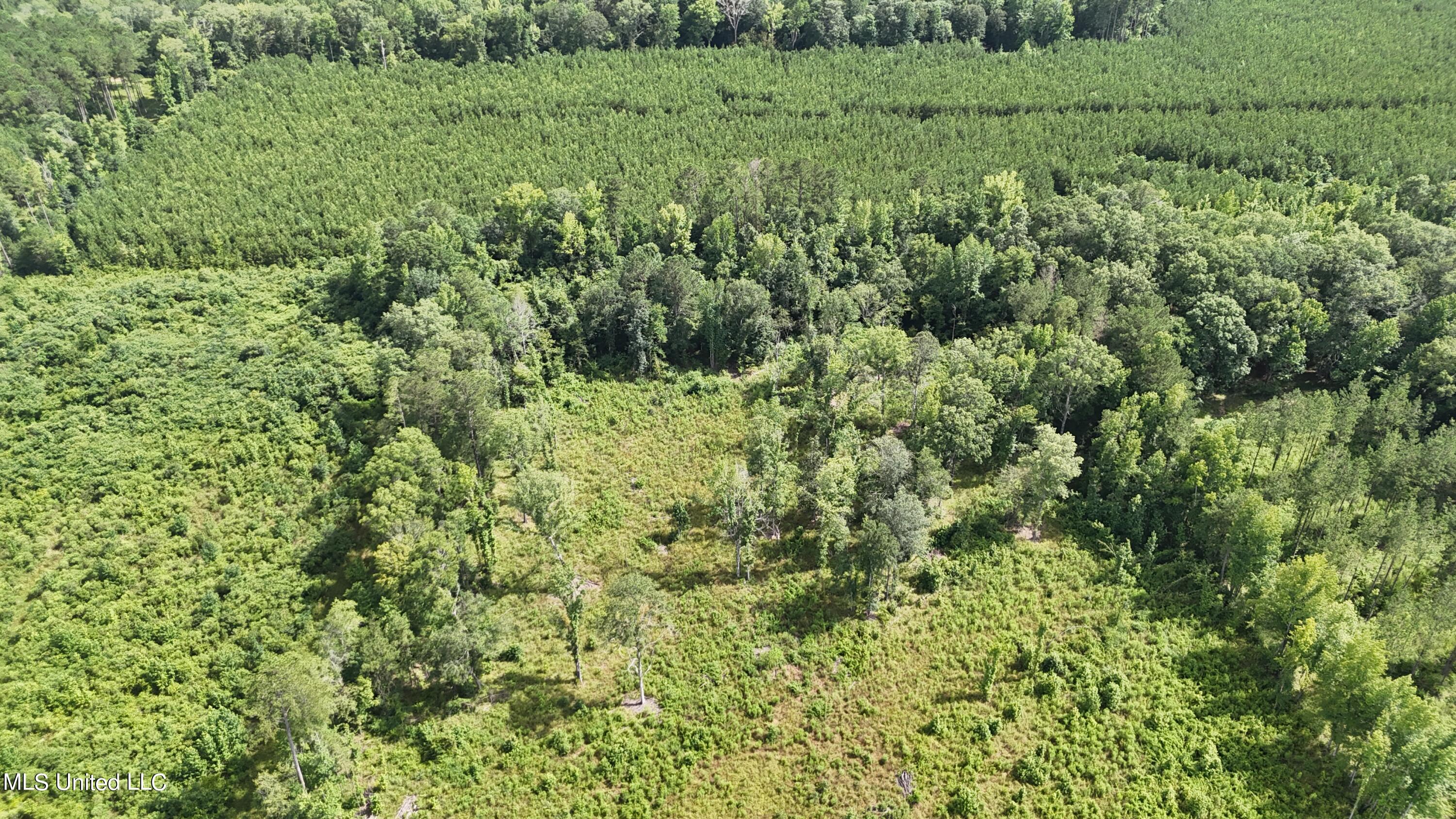 DJI_20240708154853_0256_D