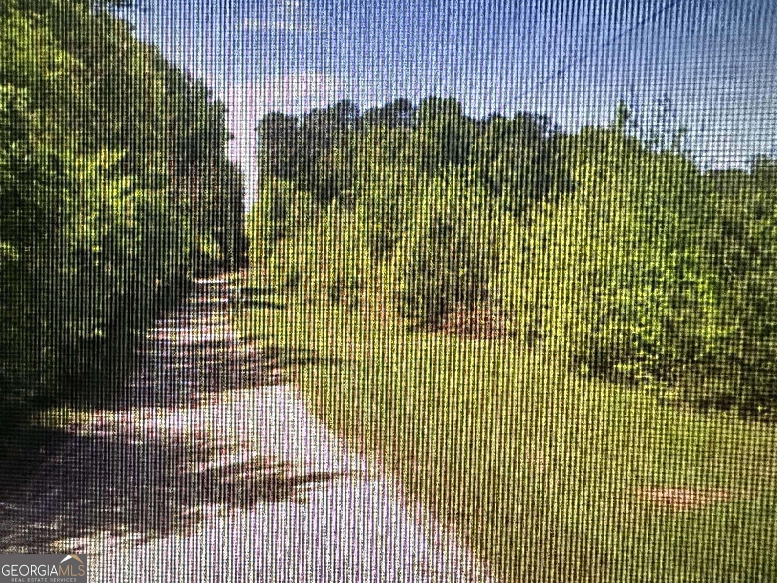 250 Perdue Road Yatesville, GA 31097 - Photo 3 of 6 Perdue Rd View