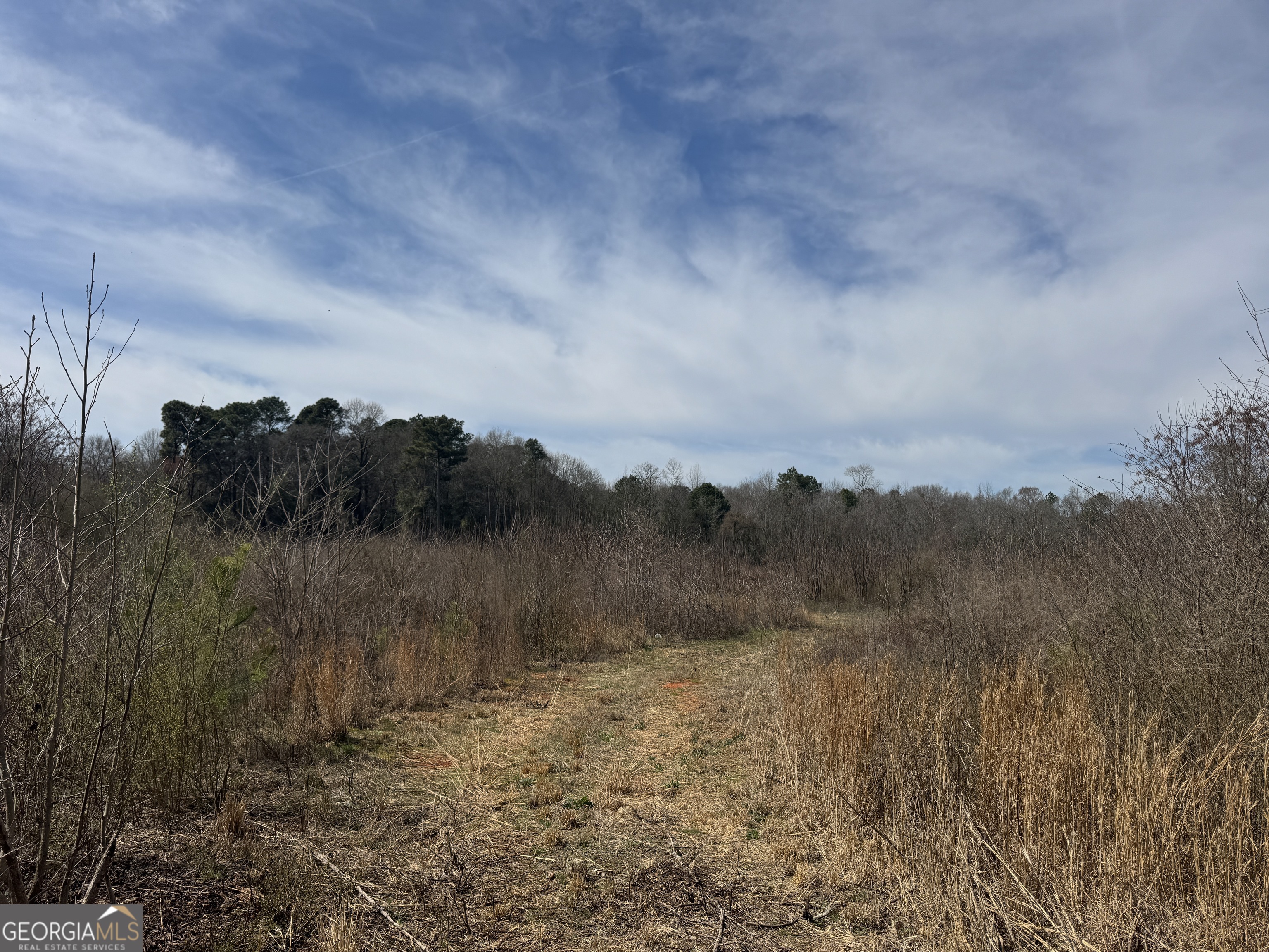 250 Perdue Road Yatesville, GA 31097 - Photo 5 of 6 Property View