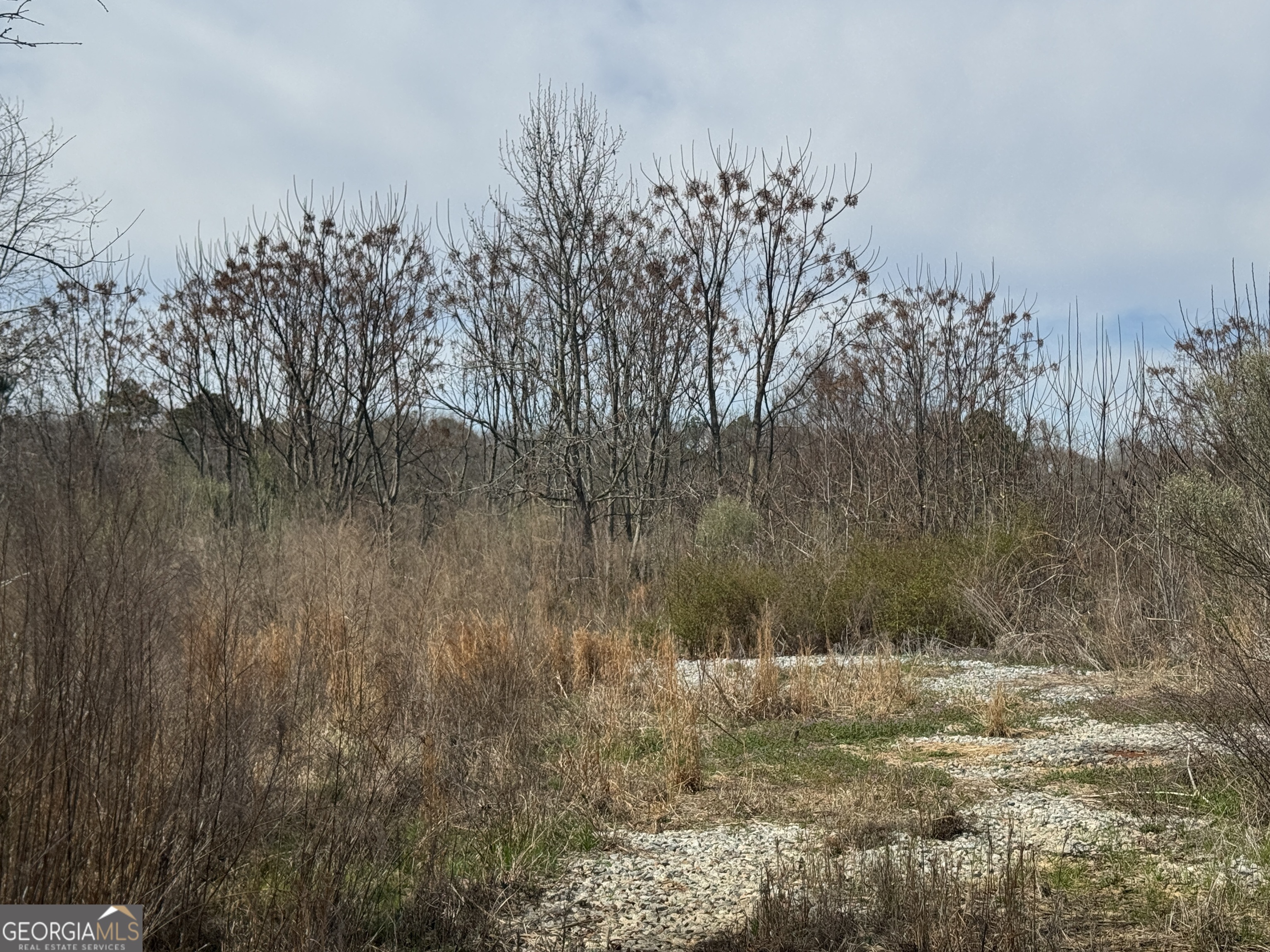 250 Perdue Road Yatesville, GA 31097 - Photo 6 of 6 Property View