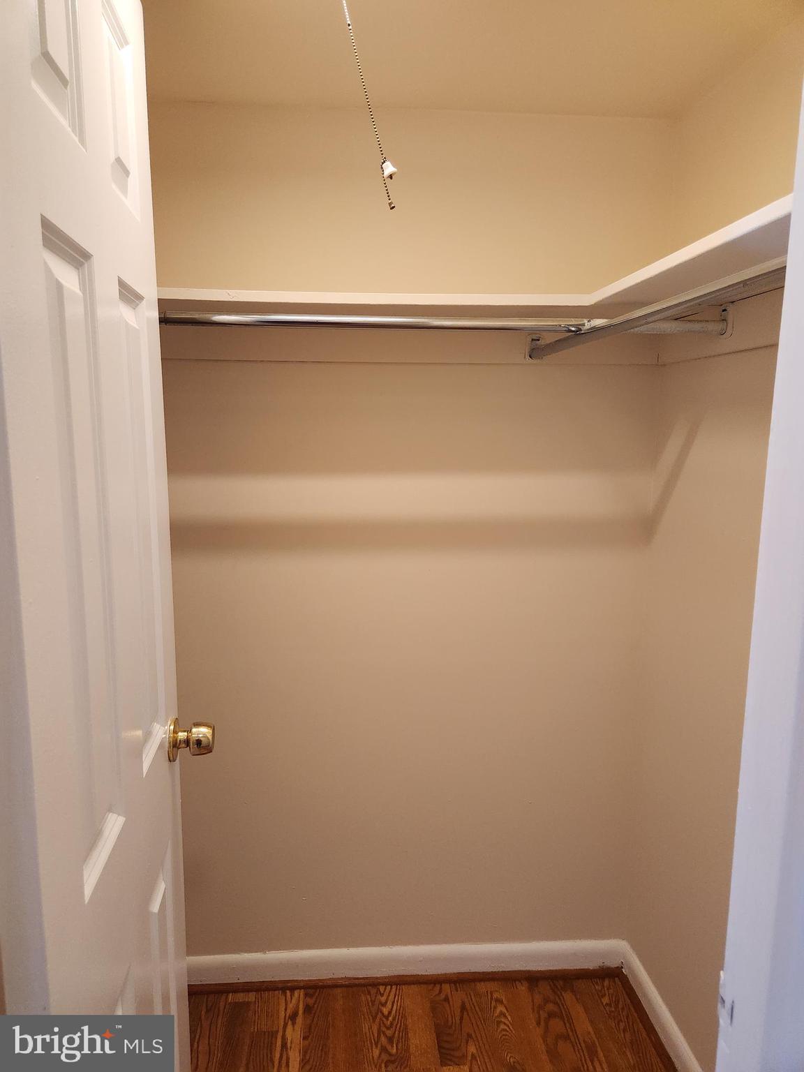 9900 Georgia Avenue, Unit 27218 Silver Spring, MD 20902 - Photo 22 of 30 Primary Bedroom Closet