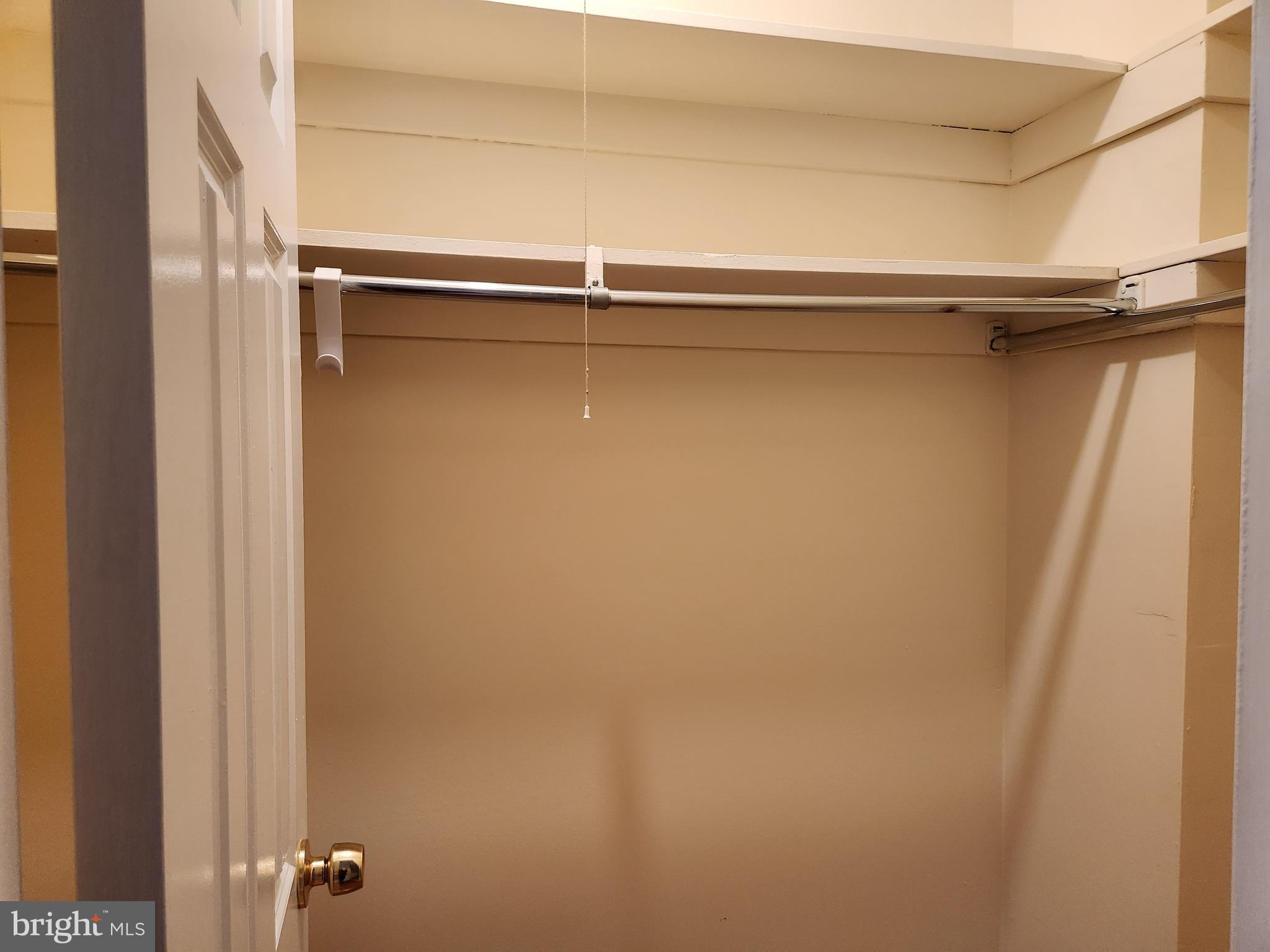 9900 Georgia Avenue, Unit 27218 Silver Spring, MD 20902 - Photo 24 of 30 Primary Bedroom Closet