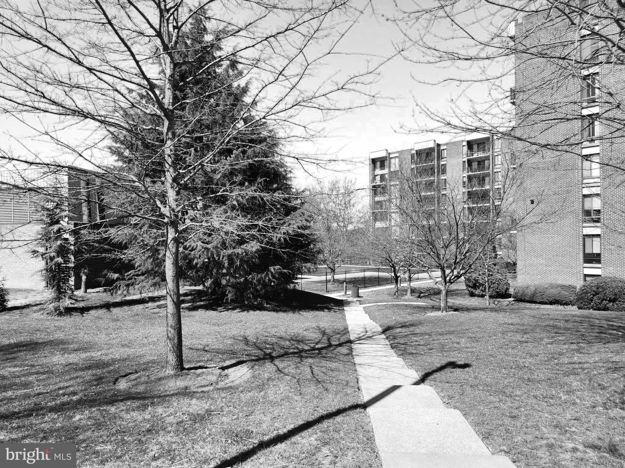 9900 Georgia Avenue, Unit 27218 Silver Spring, MD 20902 - Photo 25 of 30 Pool