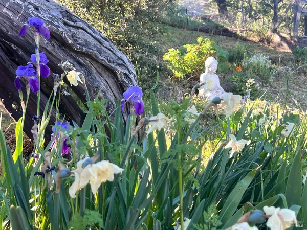 $300,000 | 8800 Feliz Creek Drive, Ukiah, CA 95482