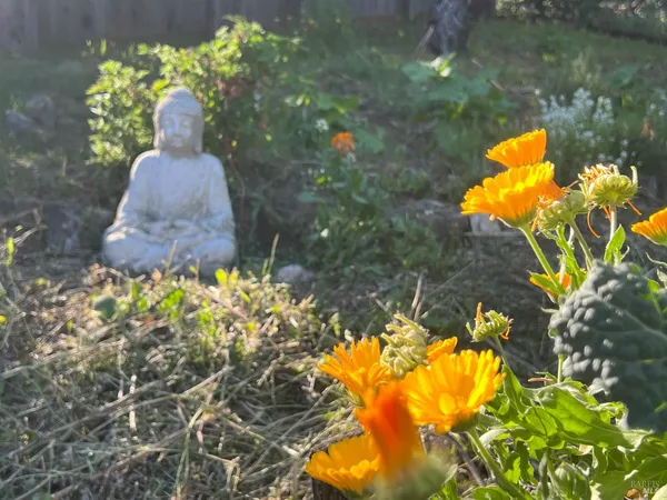 $300,000 | 8800 Feliz Creek Drive, Ukiah, CA 95482