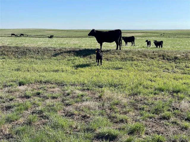 a view of a lake with a house in the background