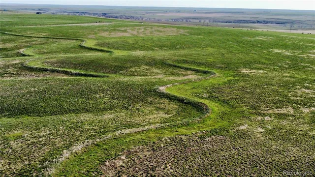 a view of a field with an ocean view