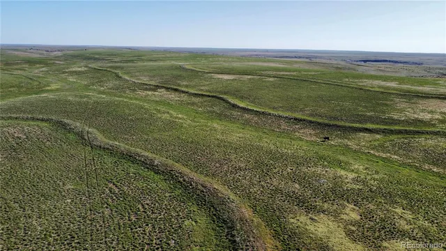 a view of an ocean from a yard