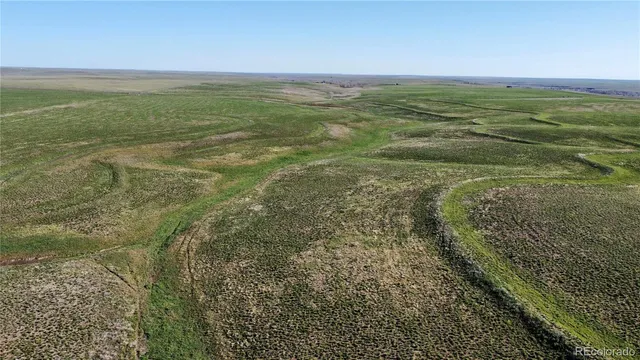 a view of an ocean from a yard