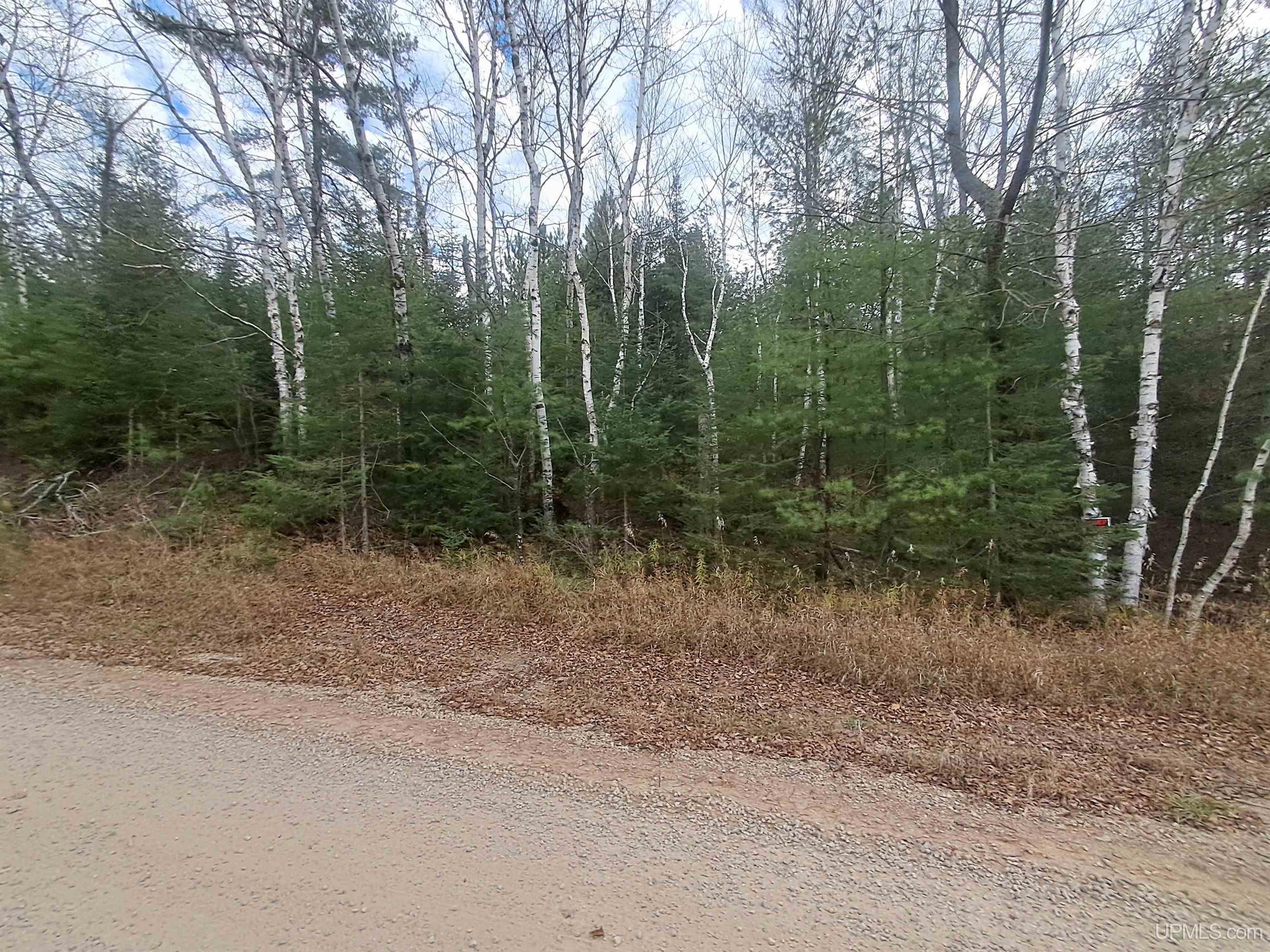 Tbd Tbd Snuff Road Hermansville, MI 49847 - Photo 7 of 8