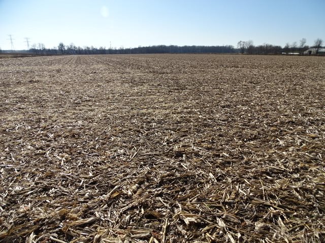 East Currier Road Freeport, IL 61032 - Photo 1 of 4 a view of an ocean