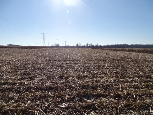 East Currier Road Freeport, IL 61032 - Photo 2 of 4 a view of a lake