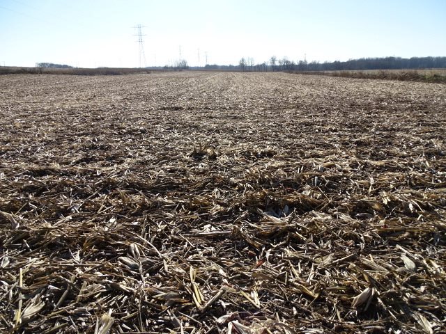 East Currier Road Freeport, IL 61032 - Photo 3 of 4 a view of an ocean