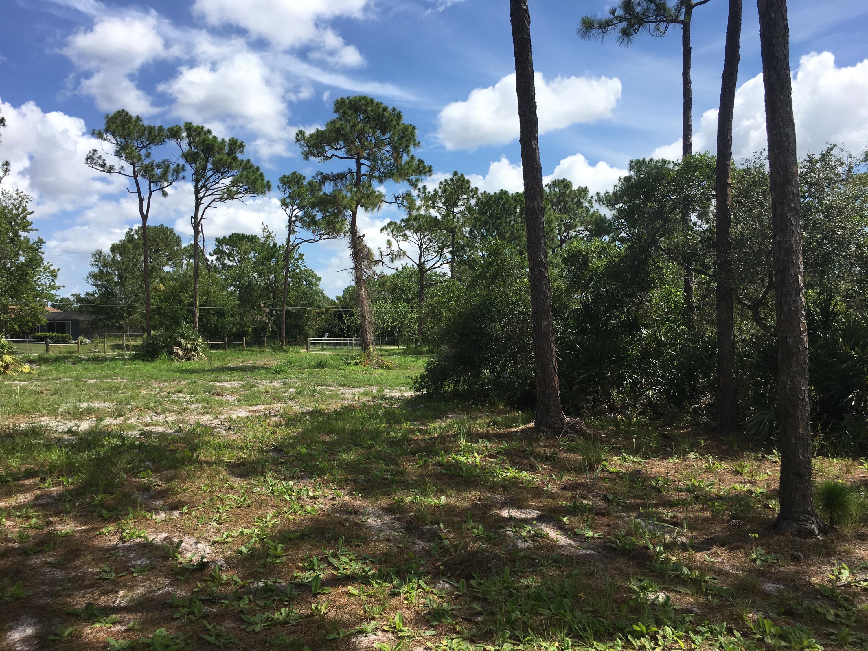 0 Southwest Hackman Stuart, FL 34997 - Photo 8 of 9 Hackman 5 acre lot residential