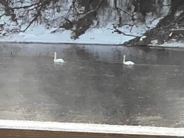 $239,900 | 6559 North 1225 West, Monticello, IN 47960