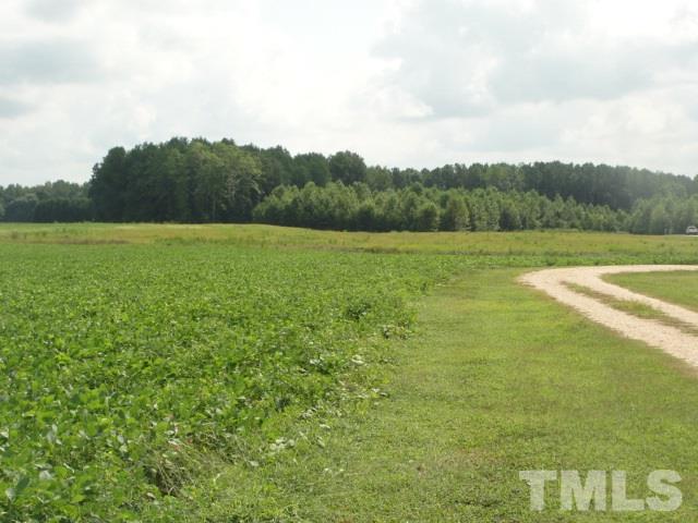 1190 Bluegrass Road Selma, NC 27576 - Photo 1 of 7 Gallery Image 1