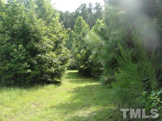 1190 Bluegrass Road Selma, NC 27576 - Photo 3 of 7 Gallery Image 3