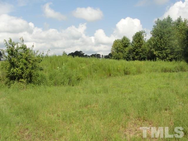 1190 Bluegrass Road Selma, NC 27576 - Photo 5 of 7 Gallery Image 5