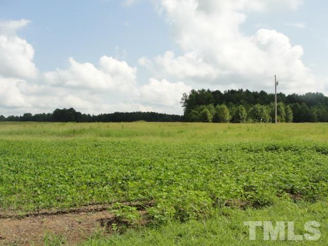 1190 Bluegrass Road Selma, NC 27576 - Photo 7 of 7 Gallery Image 7