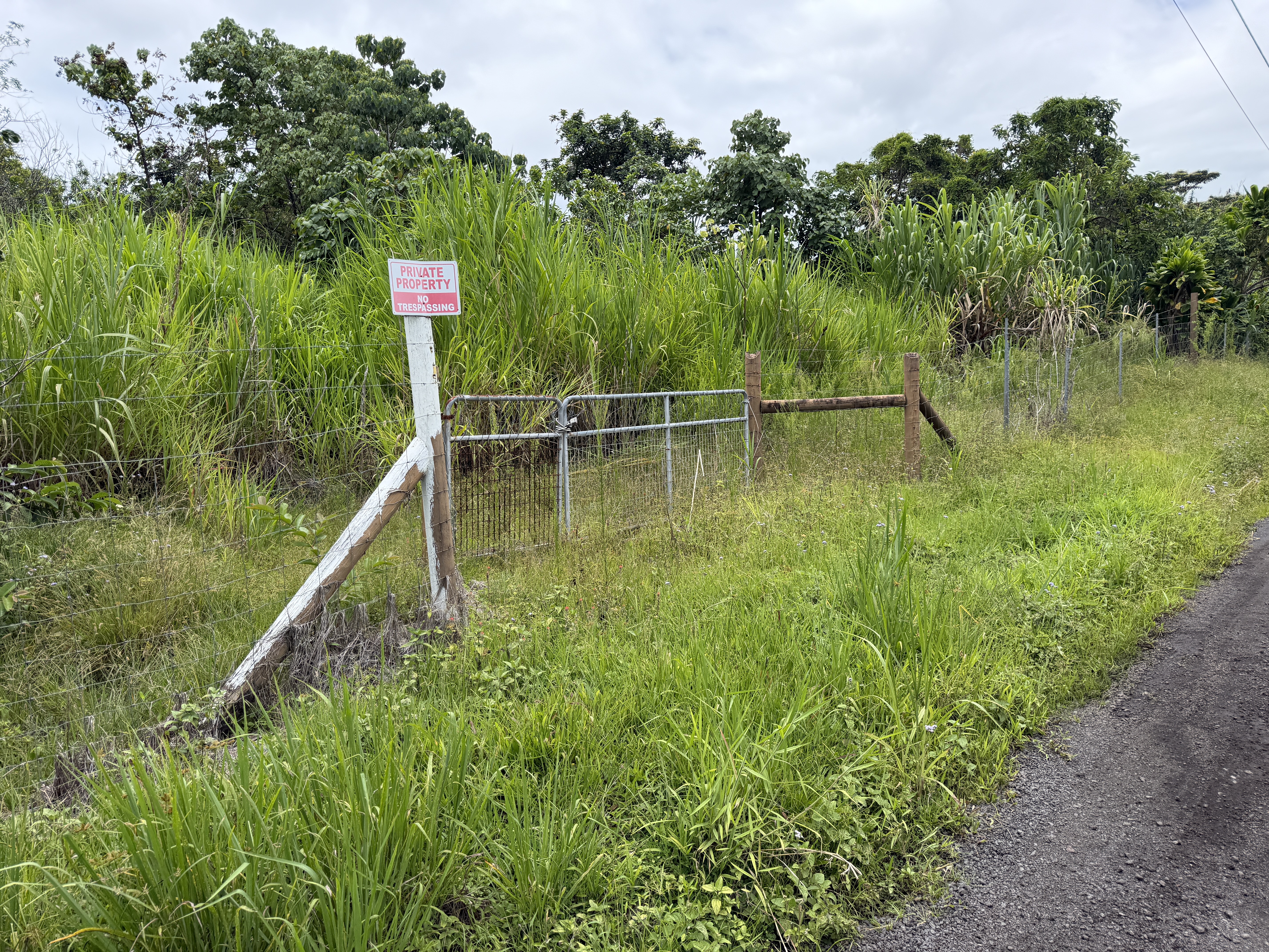 2 Opihikau Road Pahoa, HI 96778 - Photo 11 of 16