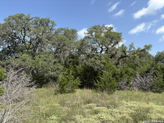 Lot 2025 Split Ridge Spring Branch, TX 78070 - Photo 24 of 35