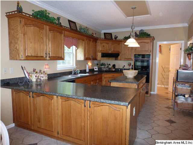 149 Chestnut Drive Alabaster, AL 35007 - Photo 2 of 32