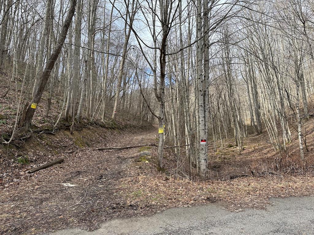 Schultz Hollow Road Bluefield, VA 24605 - Photo 7 of 25 Gallery Image 7