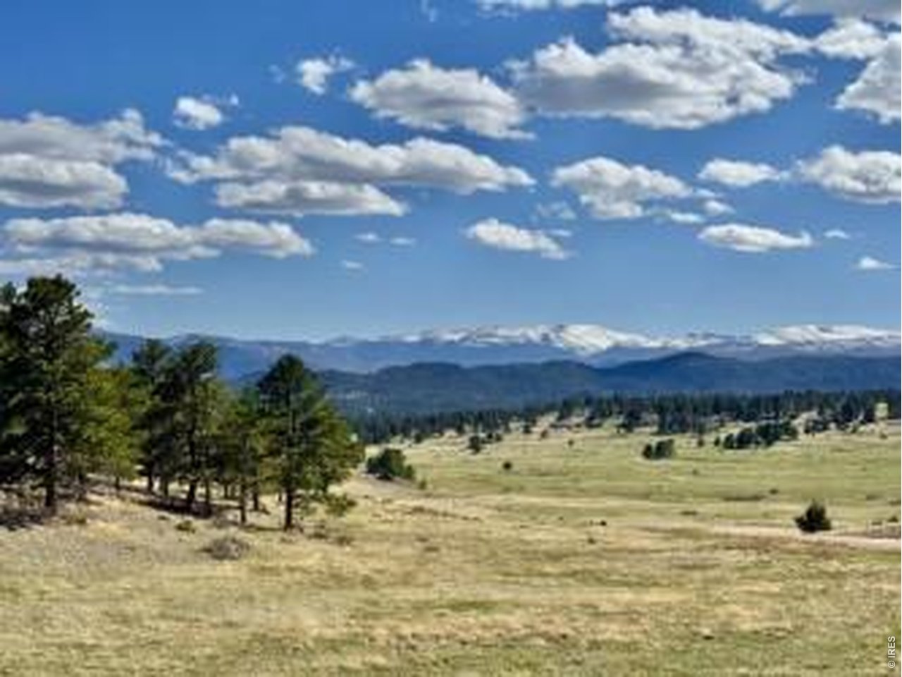 0 Red Feather Lakes Road Livermore, CO 80536 - Photo 13 of 40