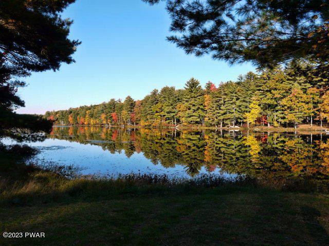 33 Ledgecrest Road Hawley, PA 18428 - Photo 14 of 16 Tink Wig Lake 3