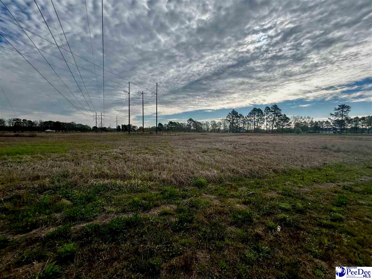 Tbd Ebenezer Road Darlington, SC 29532 - Photo 1 of 1 Gallery Image 1