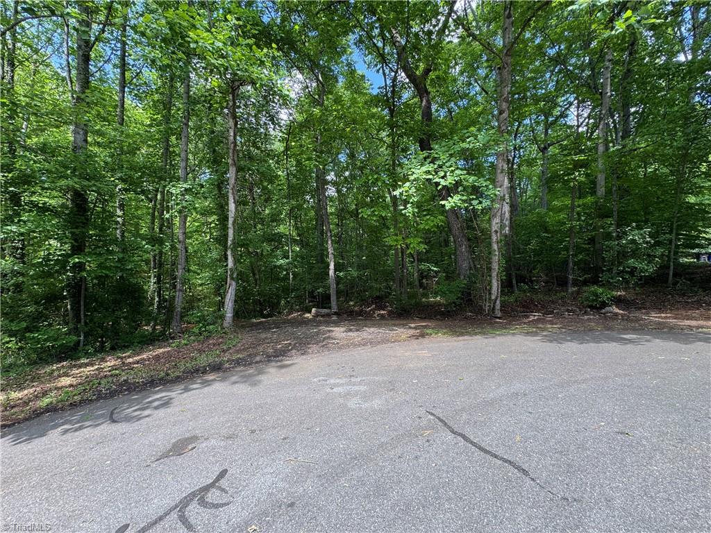 5504 Folkstone Road Pfafftown, NC 27040 - Photo 3 of 12 View from cul-de-sac