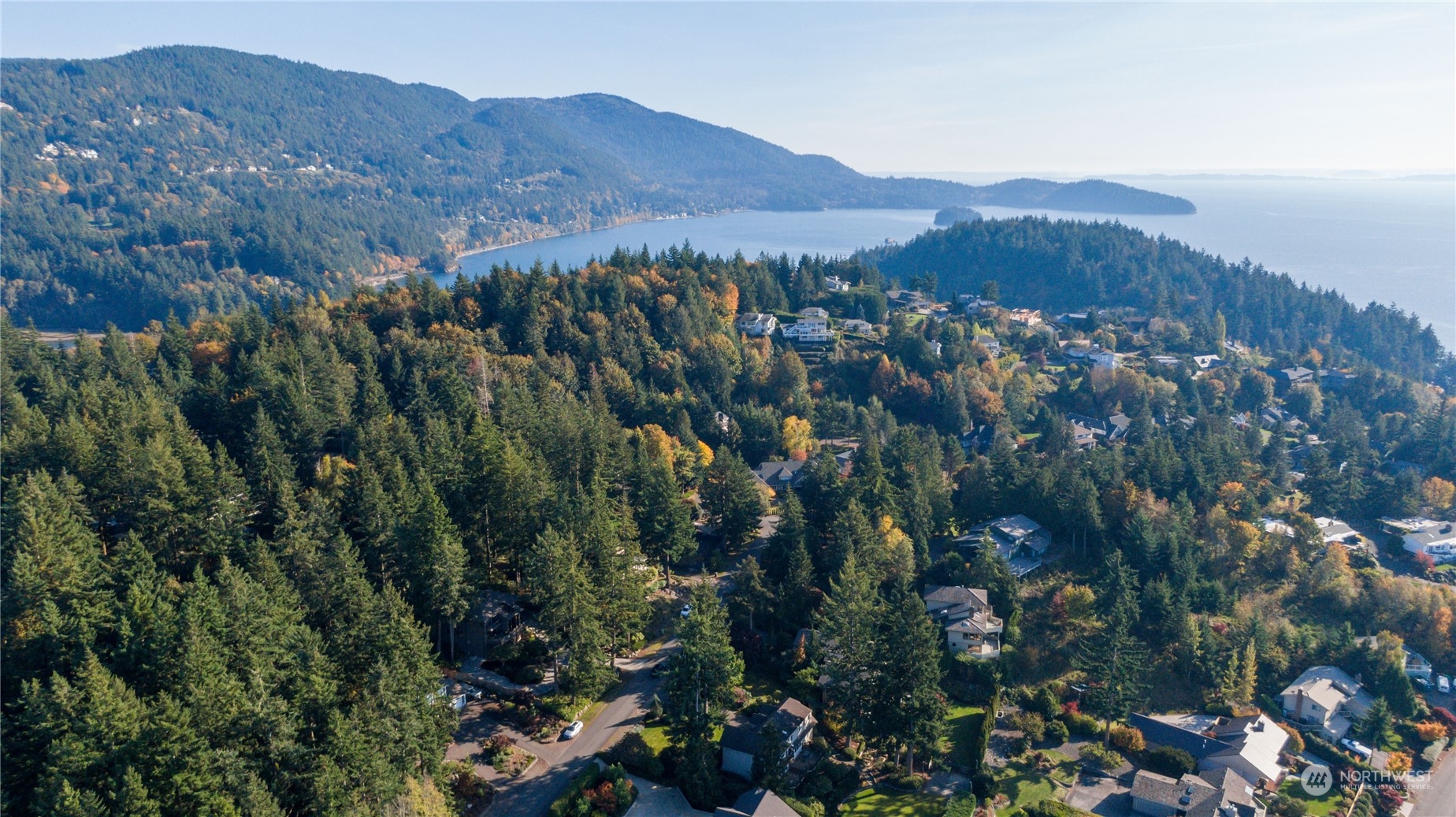 629 Fieldston Road Bellingham, WA 98225 - Photo 39 of 40 a view of a lush green hillside and houses