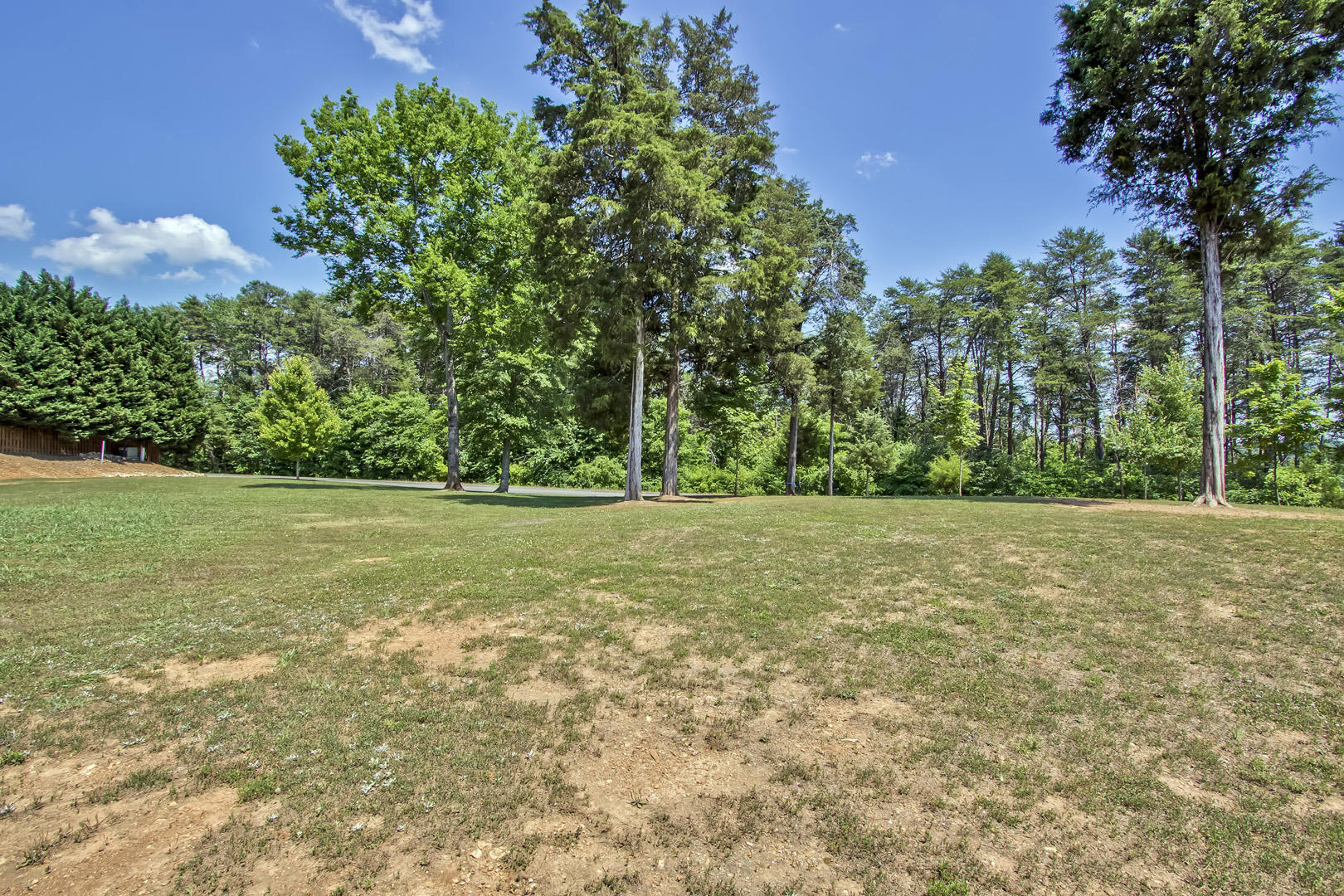 160 Bluffton Road Friendsville, TN 37737 - Photo 11 of 17 06_BlufftonRoad_160_Lot_SE