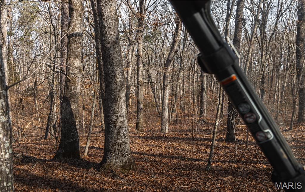 0 Bust Subdivision Road Potosi, MO 63664 - Photo 11 of 45