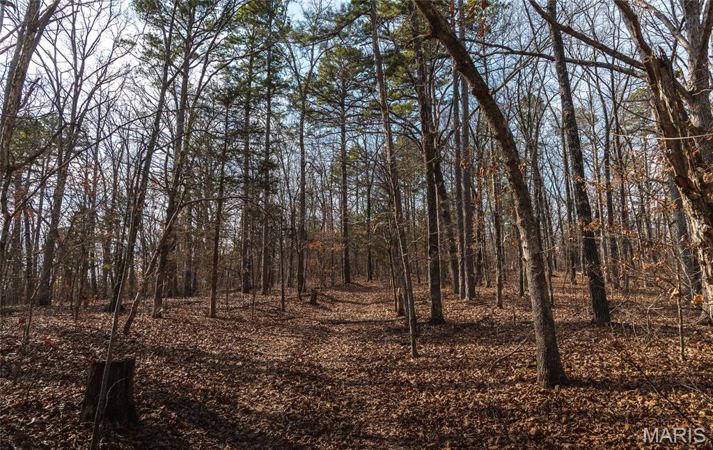 0 Bust Subdivision Road Potosi, MO 63664 - Photo 12 of 45