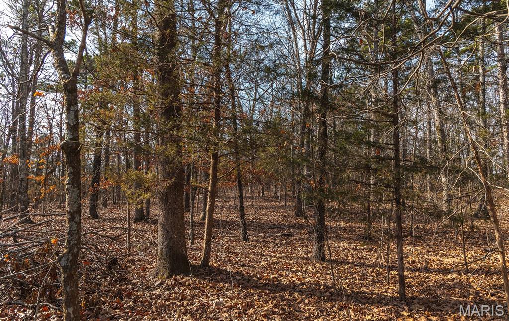 0 Bust Subdivision Road Potosi, MO 63664 - Photo 15 of 45