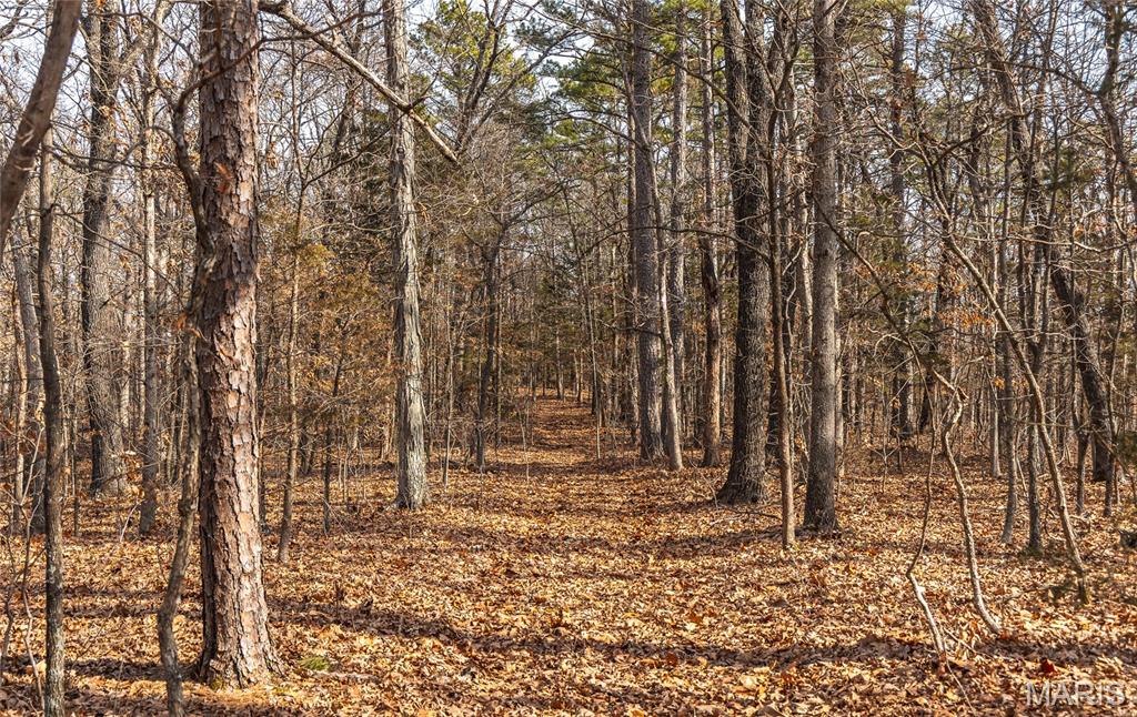 0 Bust Subdivision Road Potosi, MO 63664 - Photo 16 of 45