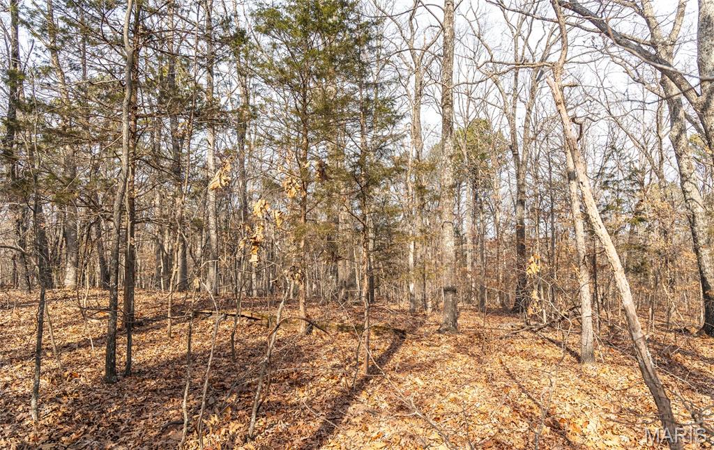 0 Bust Subdivision Road Potosi, MO 63664 - Photo 17 of 45