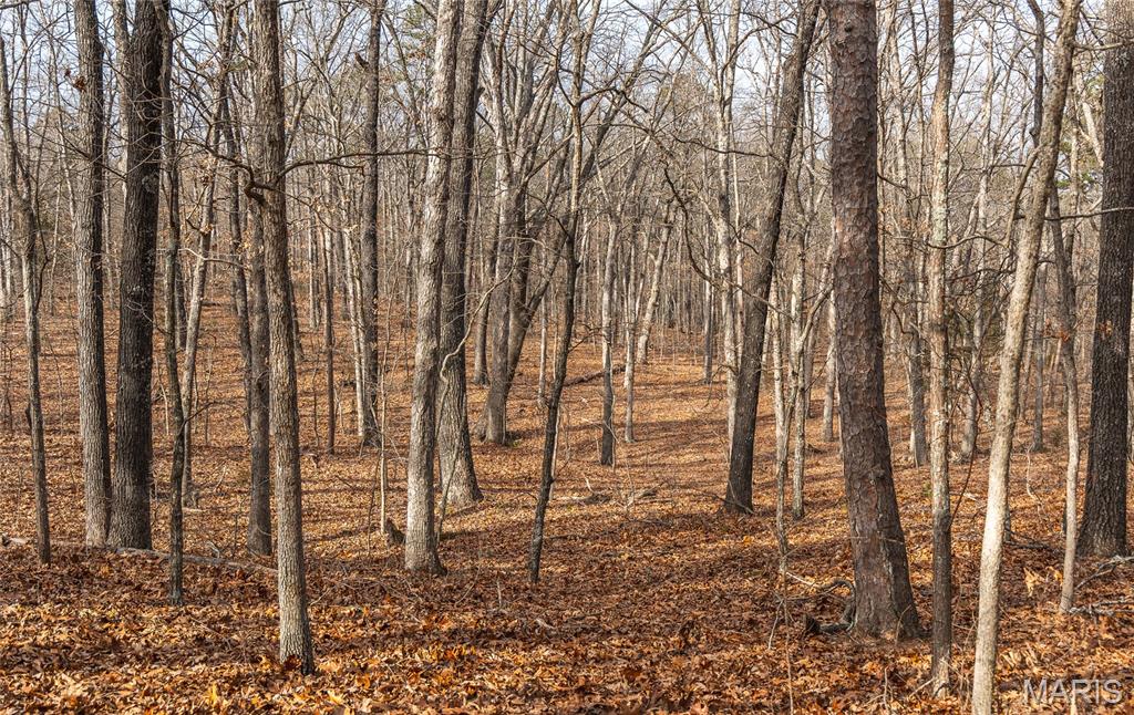 0 Bust Subdivision Road Potosi, MO 63664 - Photo 19 of 45