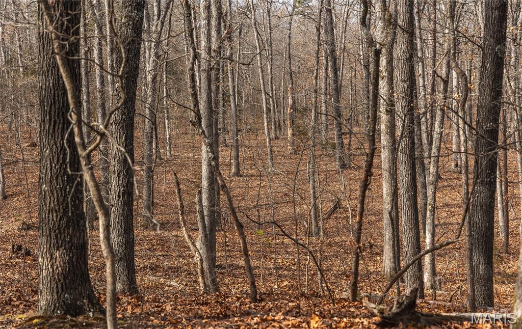 0 Bust Subdivision Road Potosi, MO 63664 - Photo 20 of 45